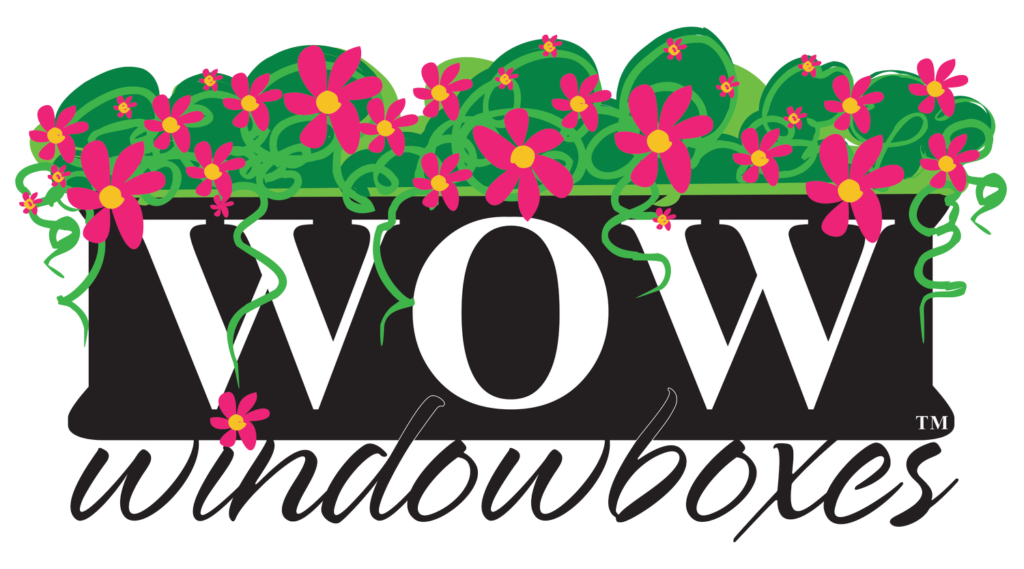 WOWlogo